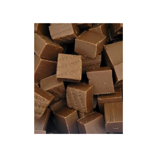 LONKA CARAMEL FUDGE CHOCOLADE (100G)